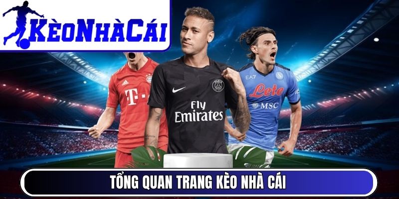 Tổng quan trang Kèo Nhà Cái - Tỷ lệ kèo bóng đá hôm nay